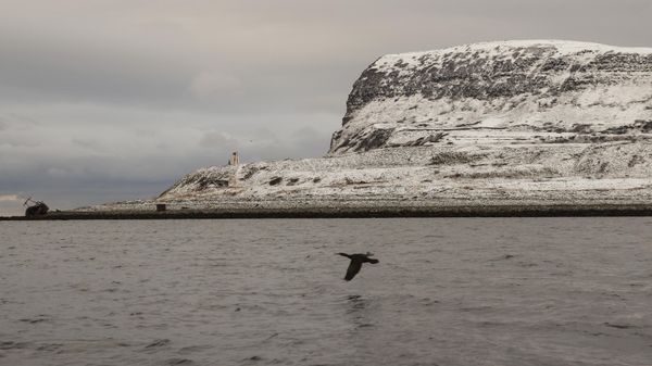 Вид на Баренцево море