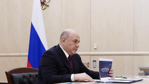 Премьер-министр Михаил Мишустин провел встречу с главой Росприроднадзора С. Радионовой