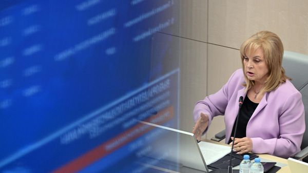 Председатель Центральной избирательной комиссии РФ Элла Памфилова
