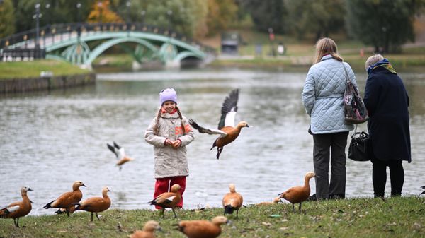 Осень в Москве