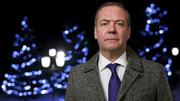 Заместитель председателя Совета безопасности РФ Д. Медведев