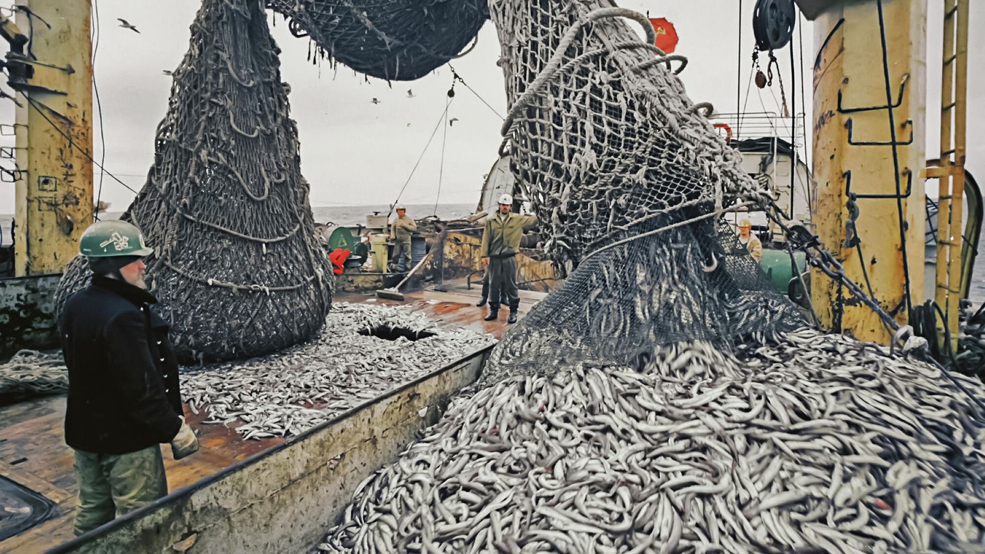 Трал с богатым уловом поднят из моря на борт большого морозильного рыболовного траулера - ПРАЙМ, 1920, 15.06.2026