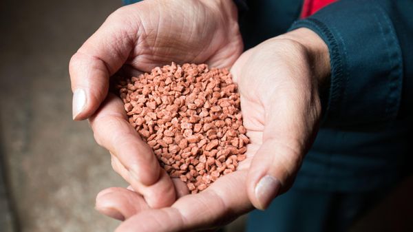 Гранулированные калийные удобрения на складе готовой продукции на Сильвинитовой обогатительной фабрике в Пермском крае