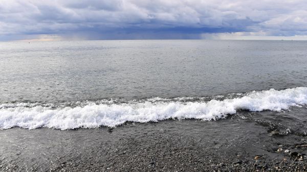Берег Черного моря