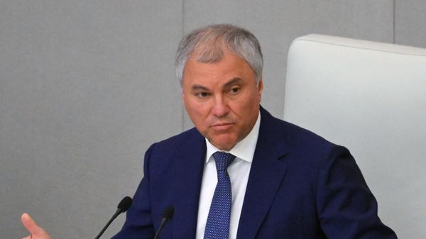 Председатель Государственной думы России Вячеслав Володин