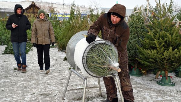 Ёлочный базар в Красноярске