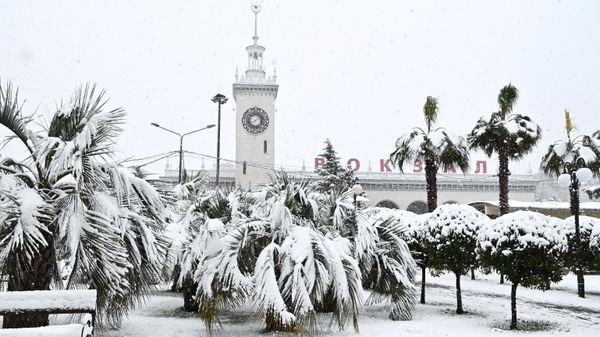 Снег в Сочи Снег в Сочи
