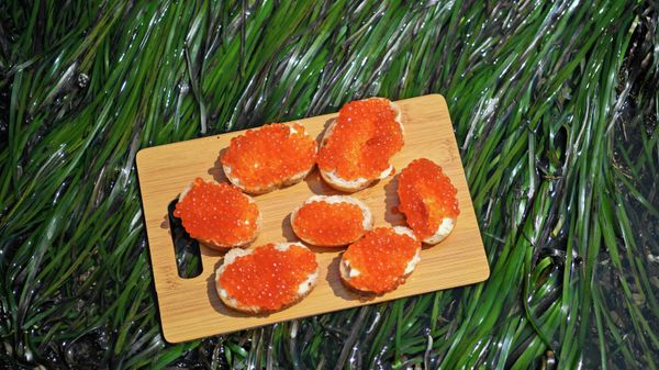 Бутерброды с красной икрой