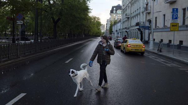 Девушка с собакой на одной из улиц в Москве