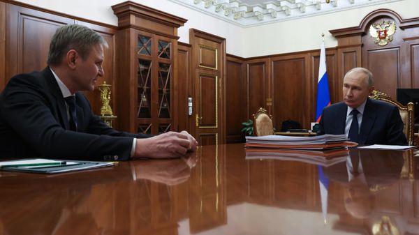 Президент РФ Владимир Путин и председатель совета директоров группы Мантера Александр Ткачев во время встречи