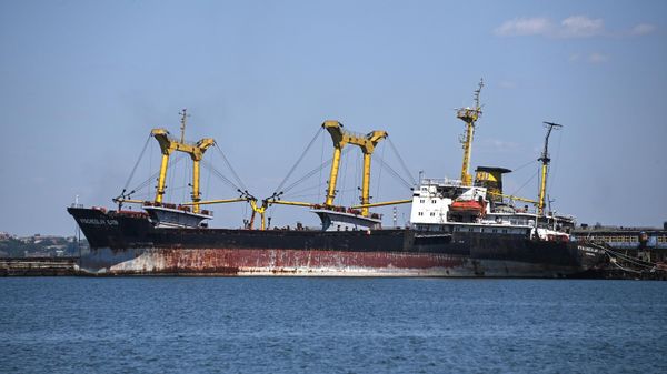 Грузовое судно VYACHESLAV ILYIN (Вячеслав Ильин) в морском порту Мариуполя