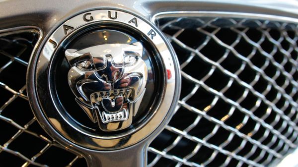 Jaguar