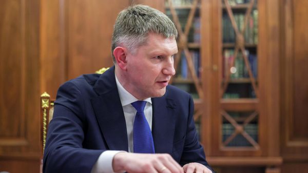 Министр экономического развития РФ Максим Решетников во время встречи с президентом РФ Владимиром Путиным в Кремле