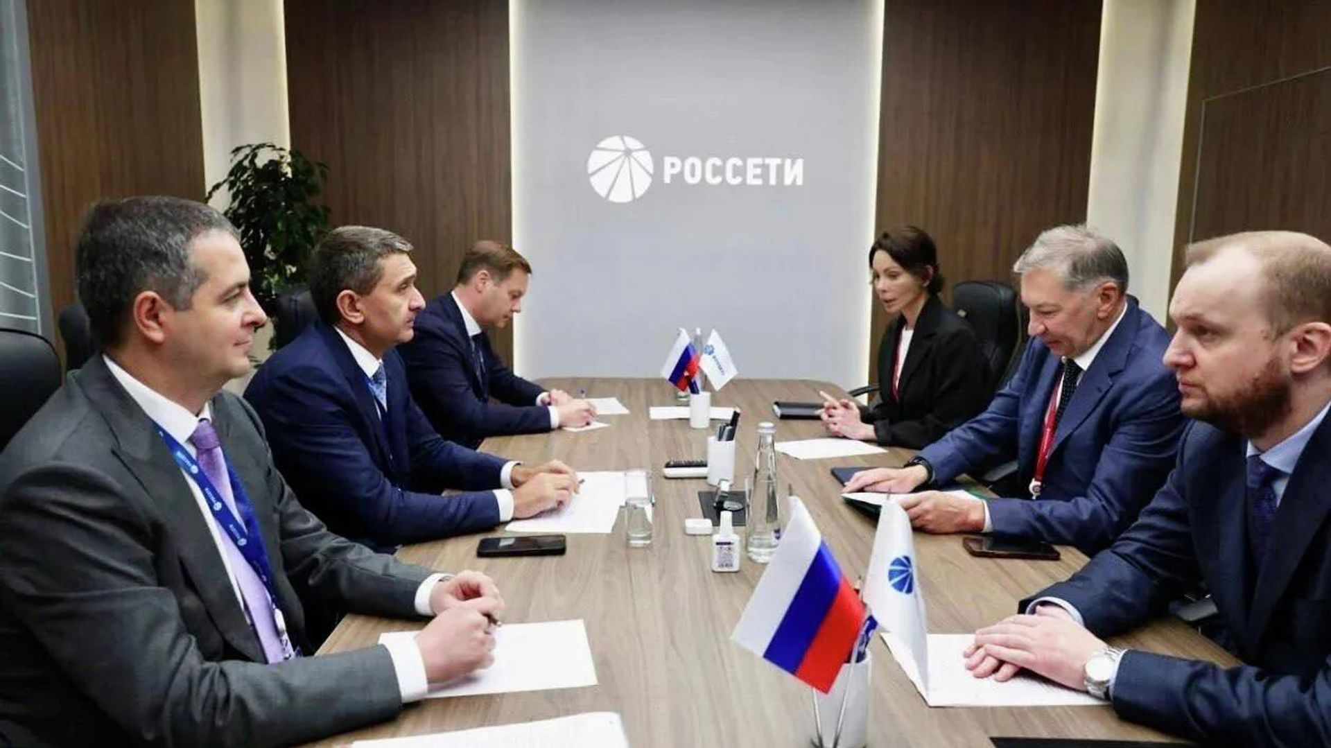 Россети и Удоканская медь обсудили на ПМЭФ перспективы сотрудничества Россети и Удоканская медь обсудили на ПМЭФ перспективы сотрудничества - ПРАЙМ, 1920, 04.06.2026