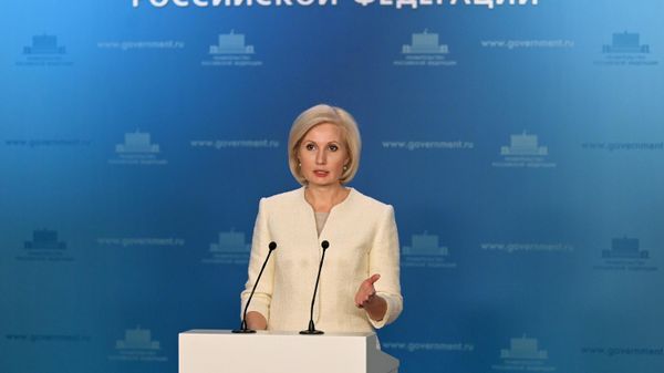 Первый заместитель министра труда и социальной защиты РФ Ольга Баталина