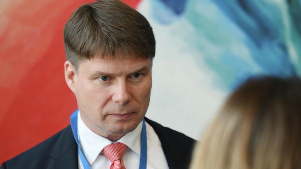Депутат бундестага от партии Альтернатива для Германии Штеффен Котре