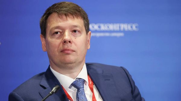 Замглавы Минэкономразвития РФ Владимир Ильичев