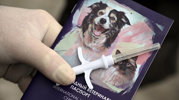 Международный ветеринарный паспорт животного