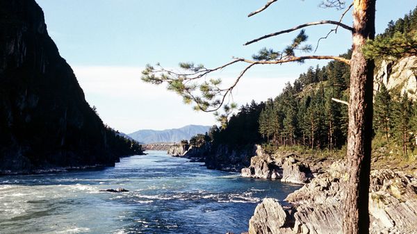 Река Катунь