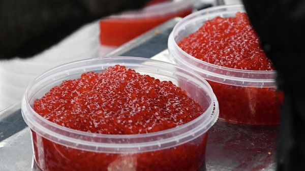 Продажа красной икры