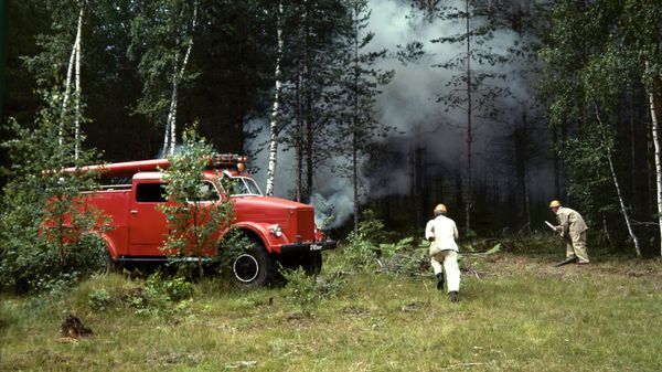 Тушение лесного пожара. 1973год