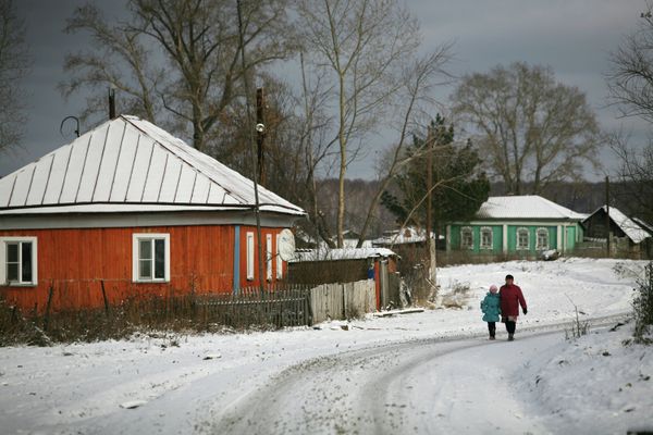 Снег выпал в Новосибирской области
