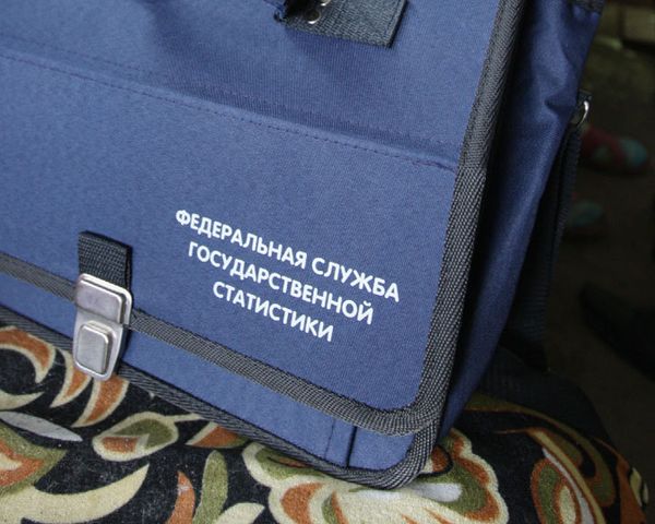 %Росстат %Росстат