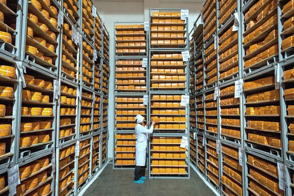 Головы сыра на складе готовой продукции
