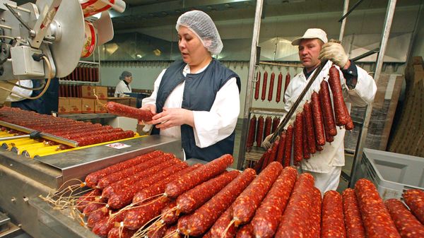 Предприятие по выпуску сырокопченых мясных изделий Предприятие по выпуску сырокопченых мясных изделий