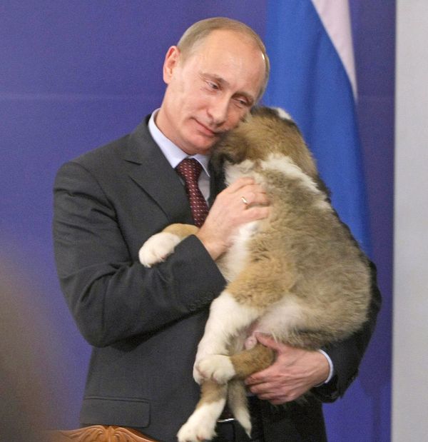 Болгарский премьер-министр подарил щенка Владимиру Путину
