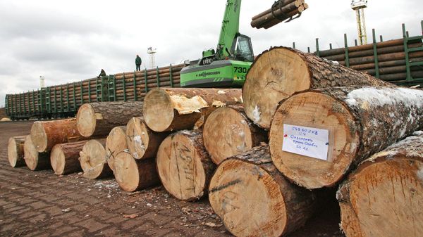  Погрузка бревен в грузовой железнодорожный состав