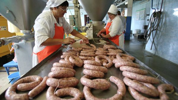 Работа мясного цеха в городе Воложин в Белоруссии Работа мясного цеха в городе Воложин в Белоруссии