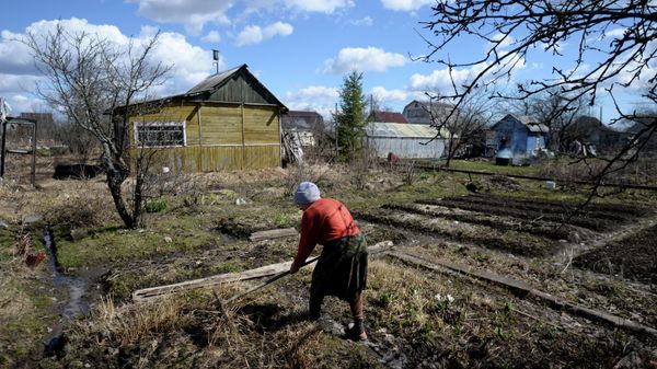 %Открытие дачного сезона в Новгородской области