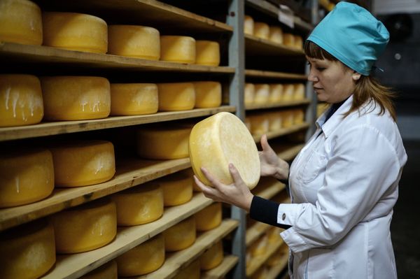 Хранения сыра.