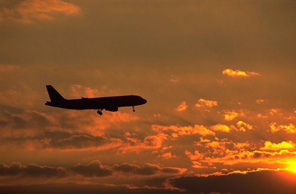 Самолет Airbus A319
