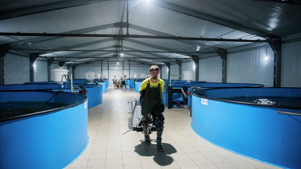 #Рыбоводное хозяйство по разведению осетровых и лососевых рыб