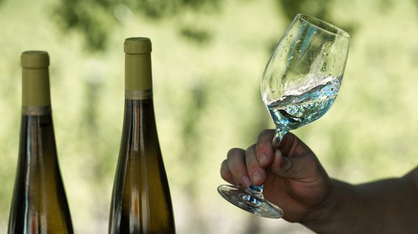 Винодельческое хозяйство UPPA Winery в Крыму