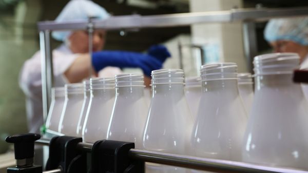 #Производство молочных продуктов