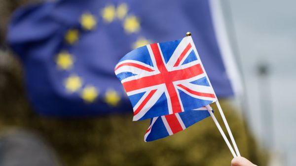 %Противники выхода Великобритании из Европейского Союза (ЕС) на улице Лондона