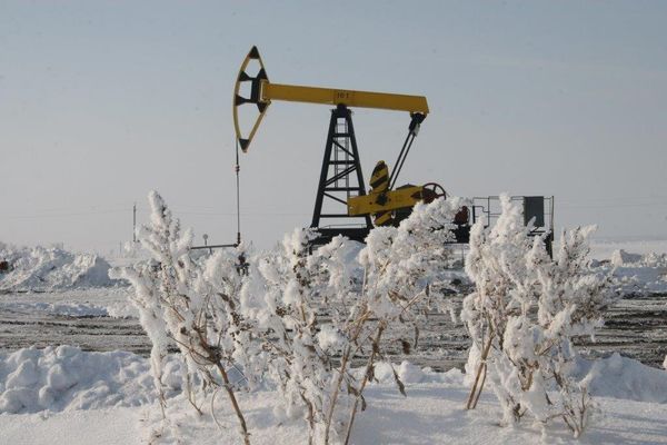 %Нефть, добыча
