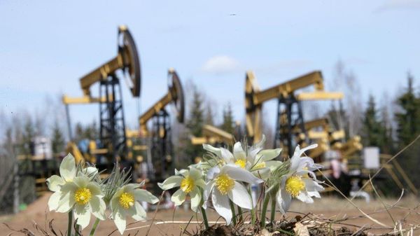 нефтедобыча экология