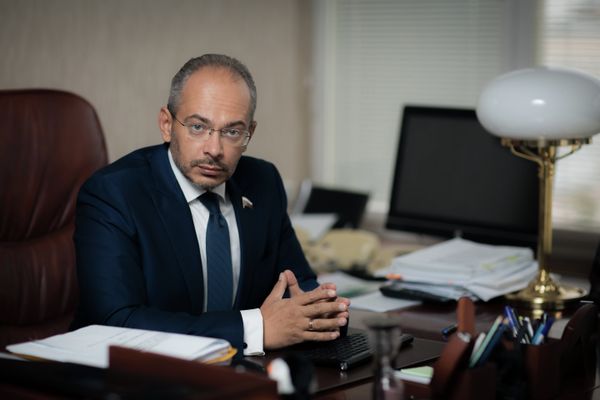 Николай Николаев, Госдума