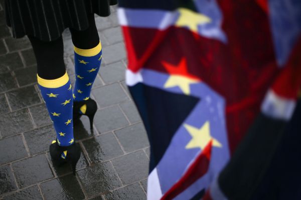 % Участница протеста против Brexit у парламента Лондона