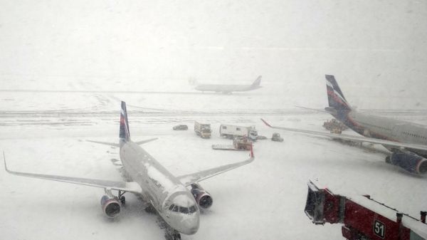 Самолеты в аэропорту Шереметьево
