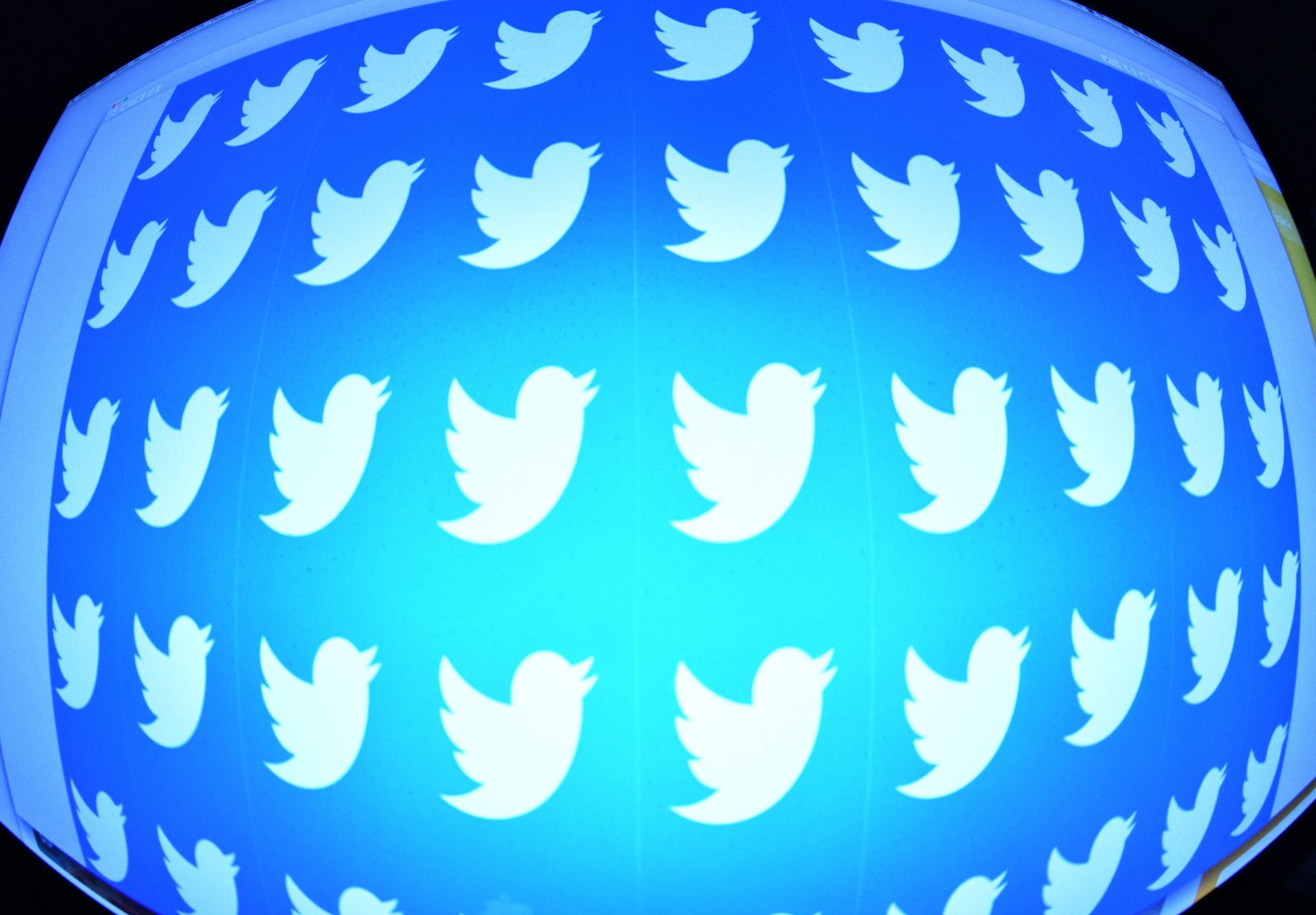 %Логотип социальной сети Twitter - ПРАЙМ, 1920, 19.01.2023