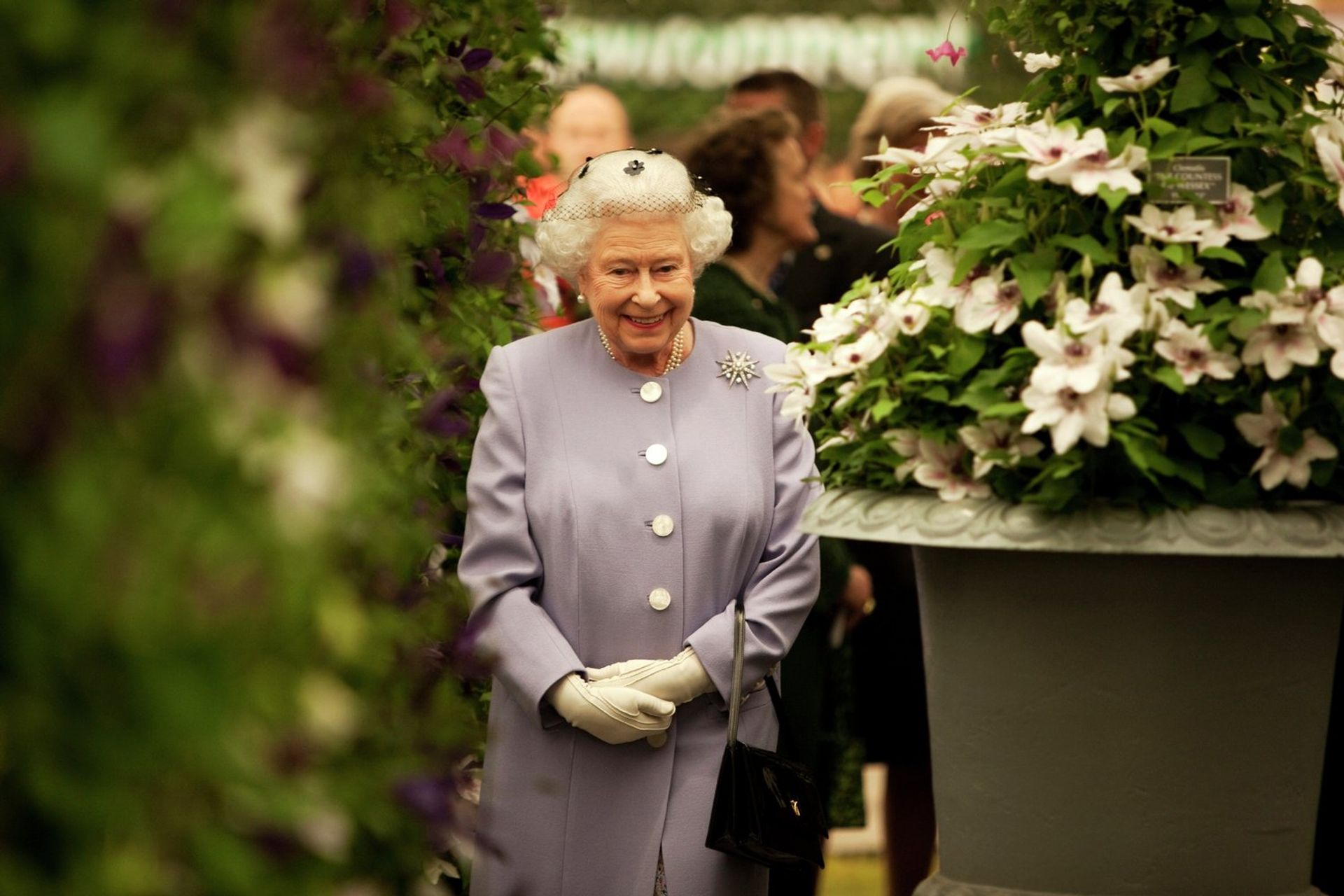 Ежегодное Цветочное шоу в Челси (Chelsea Flower Show) - ПРАЙМ, 1920, 29.09.2022