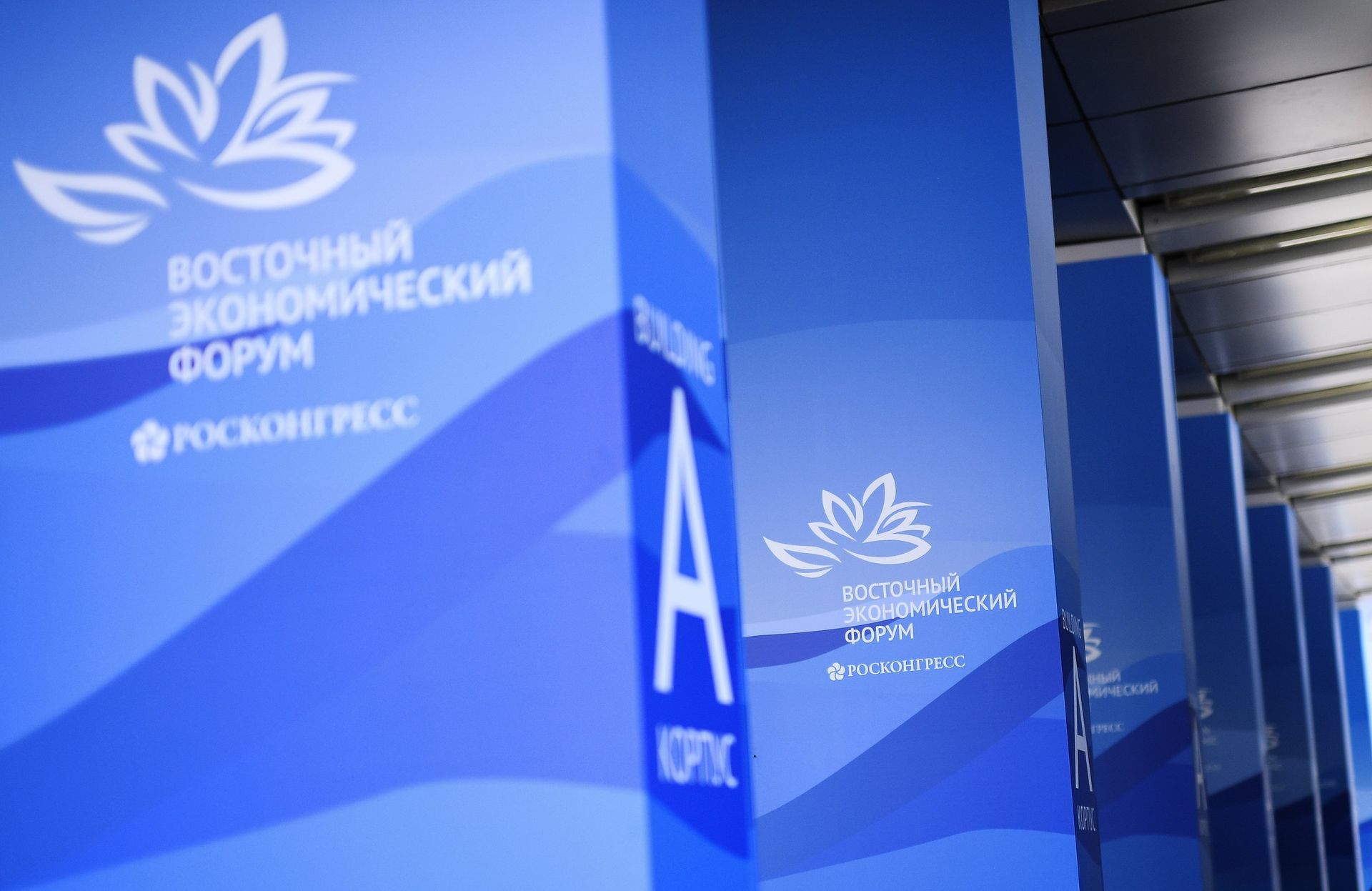 %Логотипы ВЭФ на площадке IV Восточного экономического форума во Владивостоке %Логотипы ВЭФ на площадке IV Восточного экономического форума во Владивостоке - ПРАЙМ, 1920, 08.09.2022