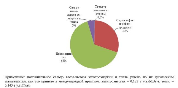 Рис. 8. Структура расхода топлива и энергии на территории города Москвы в 2016 г.