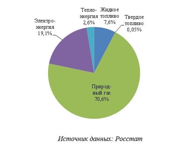 Рис. 19. Структура энергобаланса цензовой промышленности Москвы по видам энергии в 2016 году