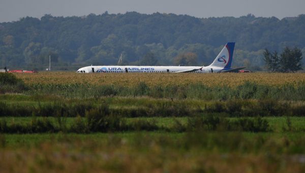 А321 совершил жесткую посадку в Подмосковье А321 совершил жесткую посадку в Подмосковье